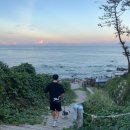 푸른고래 카라반 캠핑 | 포항 푸른고래카라반 후기 (feat. 애견 동반, 왓츠인마이블로그)