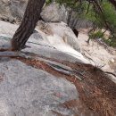 한국의 100대 명산인 천태산(714M) 등산 후기(2019.03.27) 이미지