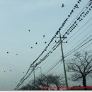 먹이창고 이미지