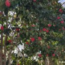 점주가든 이미지