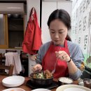 청원전기(주) | [청주 벚꽃 드라이브] 캐나다 번호판 단 랭글러 루비콘과 함께한 무심천 벚꽃축제 후기