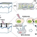 인베스티브 네이버블로그