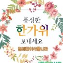 식물;마지 이미지