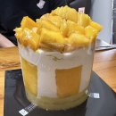 유성청과(주) | 성심당 망고시루 주말 웨이팅 구입 후기 본점 롯데백화점대전점 케익부띠끄 주차 가격 나오는 시간