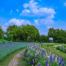 천문공원 이미지