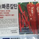 영월나우리터