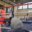 스파르타복싱체육관 이미지