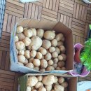 만송농장 이미지