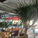 스파밸리골프클럽 이미지