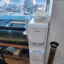 신항만 반점 | [포항신항만낚시]취미낚시,신항만반점 그리고 뜬방낚시 후기