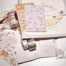 포포퍼피 | 2026 겨울 케일페 첫날 오픈런 후기~✩‧₊ 15만원인줄 알았는데.. 5만원이 사라졌어요