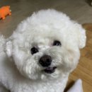 (주)진심