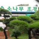 도솔조경