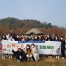 호호투어