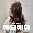 헤브(Reve) | 범계미용실 헤브헤어 범계점, 공송미 실장님의 복구클리닉 후기, 추천
