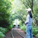 제주서쪽감성숙소 제주애물들다 이미지