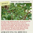 나사로 청소년의 집