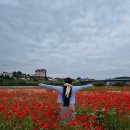 종합운동장 시민체육공원 1(풋살장 옆 화장실) | 나주 홍어축제 영산강체육공원 양귀비 개화상황