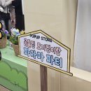 게임코리아 | 더현대 서울 팝업 투어 ( 곰돌찡 토끼찡, 주토피아, 보드게임코리아 ) 후기