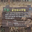 지리산 유아숲체험원 이미지