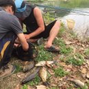 행복 낚시터 이미지