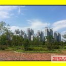 솔비공인중개사사무소 이미지