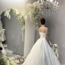 신성화로(3-215) | 청주웨딩드레스대여 본식드레스 성화동 르마리아쥬 피팅 후기 (feat. 청주2부드레스, 헤어메이크업)