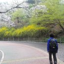 우정의원 이미지