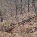 수진 공원 이미지