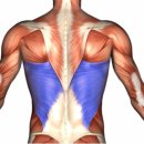 라이브휘트니스(오천점) 이미지