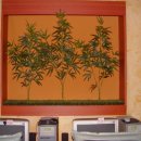 아이넷PC방 이미지