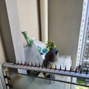 수완대방3차 | 광주비둘기퇴치 시공후기 수완지구 대방3차 아파트