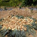 웅포농장 이미지