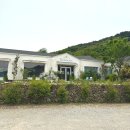 [남해 1박2일] 쉼이 필요해 떠난 여행 🤍 (카페 '바래온', 숙소 '꽃담하우스', 생선구이 맛집 '풍운정...
