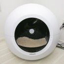 위드힐링 이미지