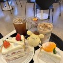 블루밍 | 홍대 연남동 수제 케이크 맛집 비포블루밍 후기