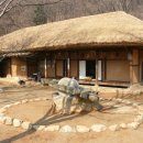 곡촌 Daum카페