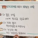 타니예르 이미지