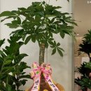 센트럴치과기공소 이미지