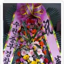 평화동016 이미지