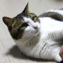 두레모텔 이미지