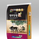 황토랑 이미지
