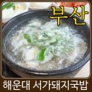 쉐프 국밥 | 부산 해운대 유남노 셰프 픽 서가돼지국밥 솔직 후기 (메뉴판 첨부)