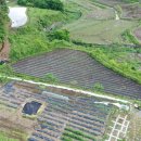 횡천면사무소 이미지