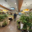 샤브향(퇴계점) 이미지