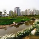 역삼-1546 이미지