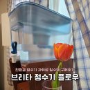 샐730 | 친환경 브리타 정수기 플로우 구입후기(사용법 및 장단점 렌탈정수기 비교)