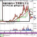 시스템 추천주 : 한양증권, 녹십자홀딩스1우 이미지