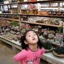 수현농장 이미지