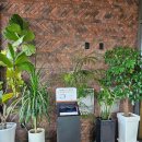 우동카덴 이미지